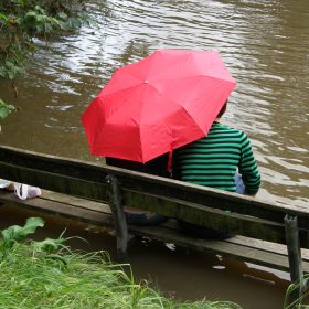  Red Umbrella Couple On Bench In Flooded Ponteland Park